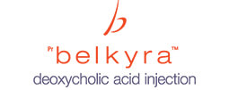 belkyra company logo
